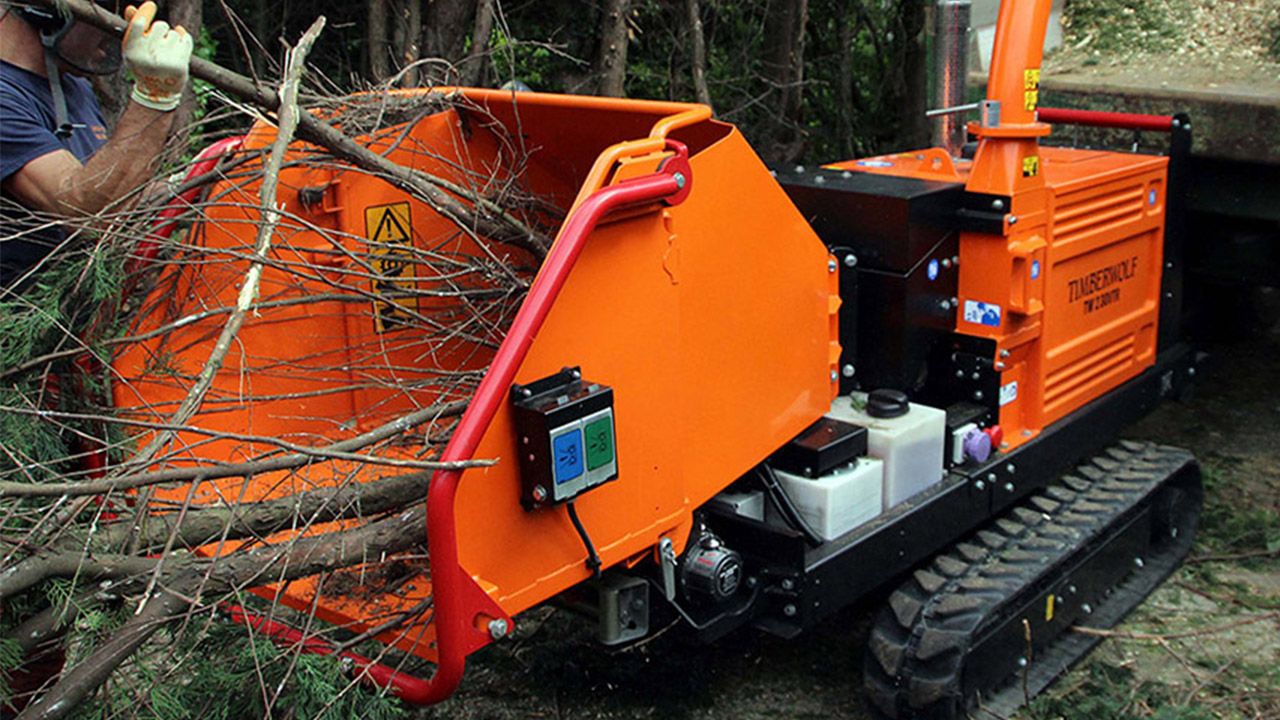 All about Timberwolf | Spectrum Plant - Russell's Arb