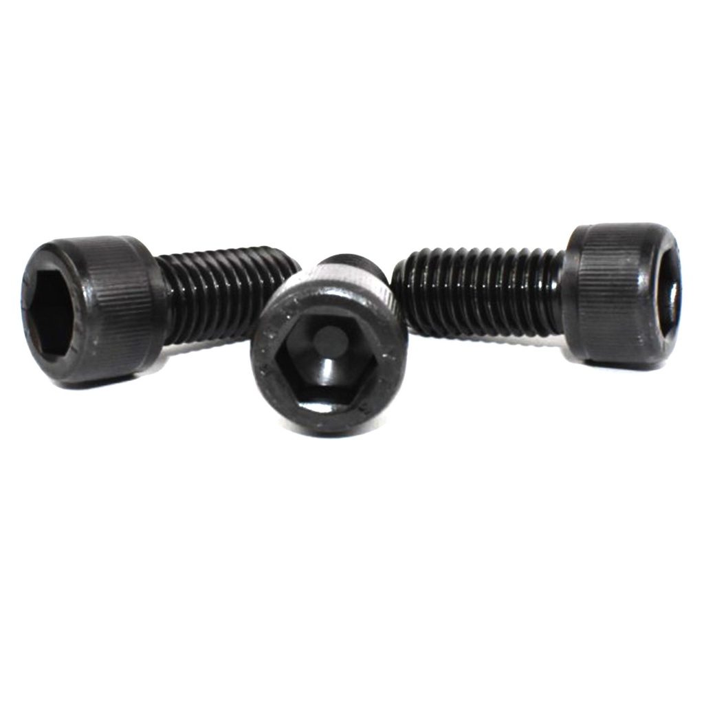 M12/30 Cap Socket Head Screw 12.9 Timberwolf In Feed Motor TW150 and TW190 Chippers BO1985