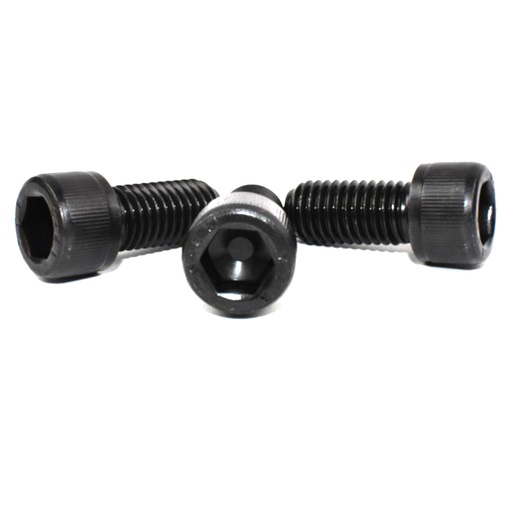[TF-C004-0810] M12/30 Cap Socket Head Screw 12.9 Timberwolf In Feed Motor TW150 and TW190 Chippers BO1985